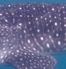 56e1db1c-1e31-4524-8c8f-1f6577bb76bc