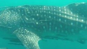 602301ac-5d38-4011-aac3-10ba5319e372