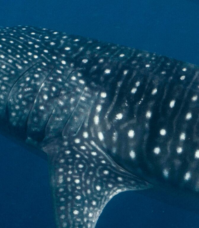 f0037054-6d07-46dc-a1f7-771143e69b40