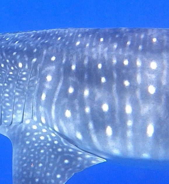 b3b1c619-b931-41c3-9dee-48c09ecb0a61