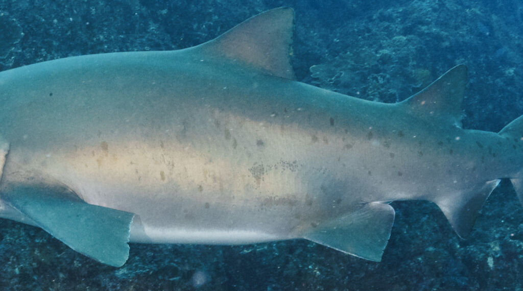 402eba90-2a40-4f7b-b2a4-e53c1b3d538c