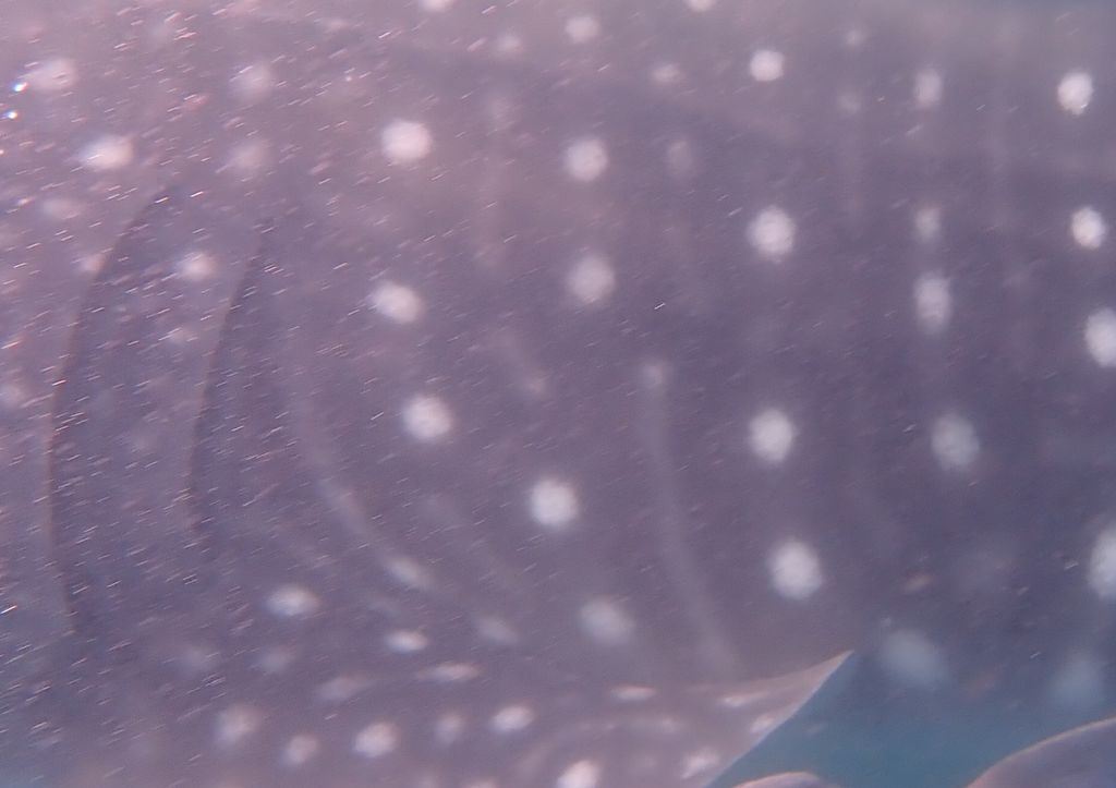 7afc64fd-10cb-4309-9aba-62f47f3aeb54