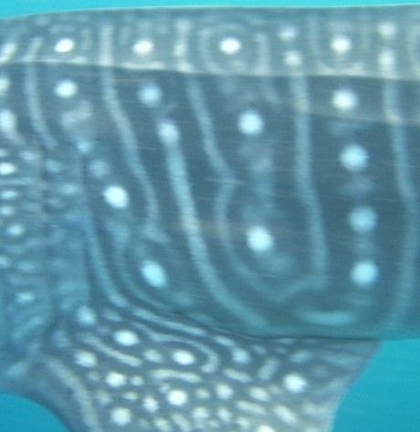 6cf740e3-12f1-4df8-a9df-45e7deeaca3f