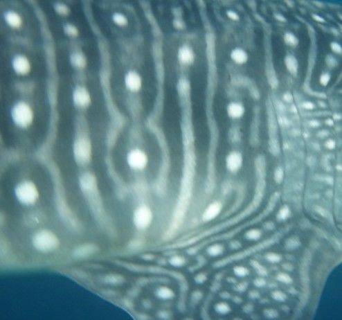 6cf740e3-12f1-4df8-a9df-45e7deeaca3f