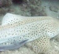 36d00e79-5f73-41d7-811d-5a31a5838484