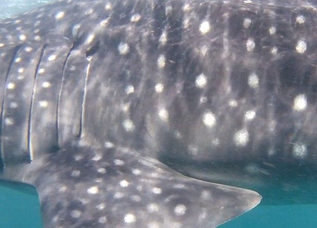 895e5404-6b3c-401d-be05-44148fff2b89