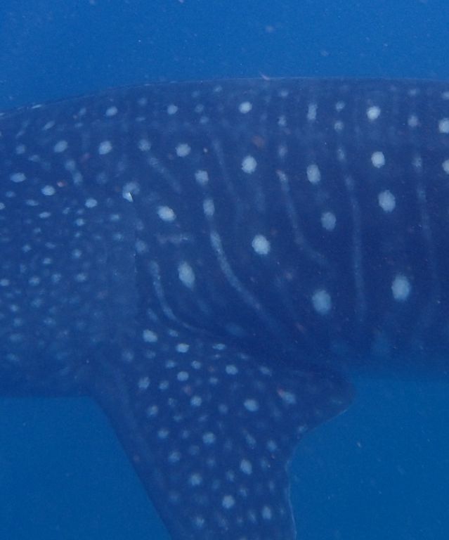 51d3e326-7903-420a-9f8f-6c9fb9716cf4