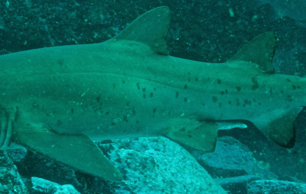 6030efcc-a447-45c8-8808-20baf731f8e0