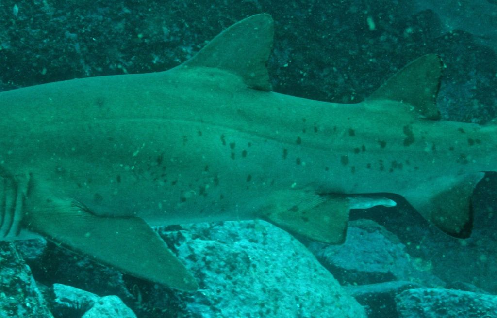 6030efcc-a447-45c8-8808-20baf731f8e0