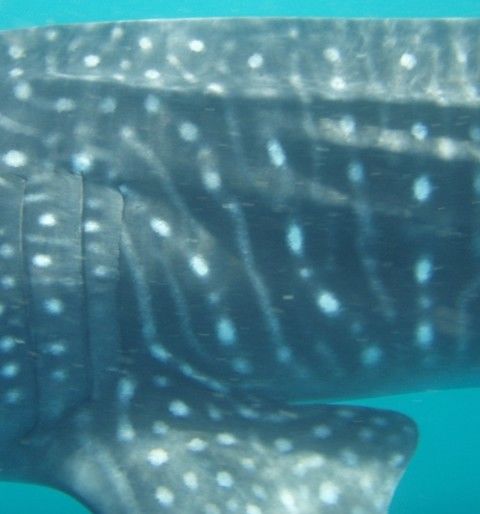 a2edff80-2f89-4ec2-8813-0981d6c59116