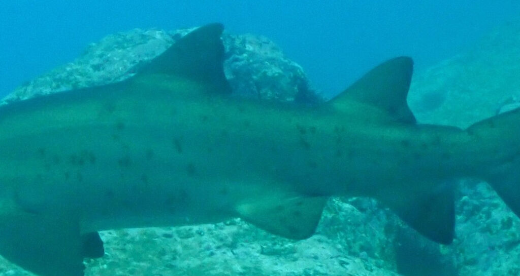 1c666270-5bba-4a18-a6fc-3c0000b644aa