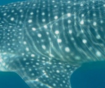 6bbf88da-7537-4a58-84e1-cec1078b064b