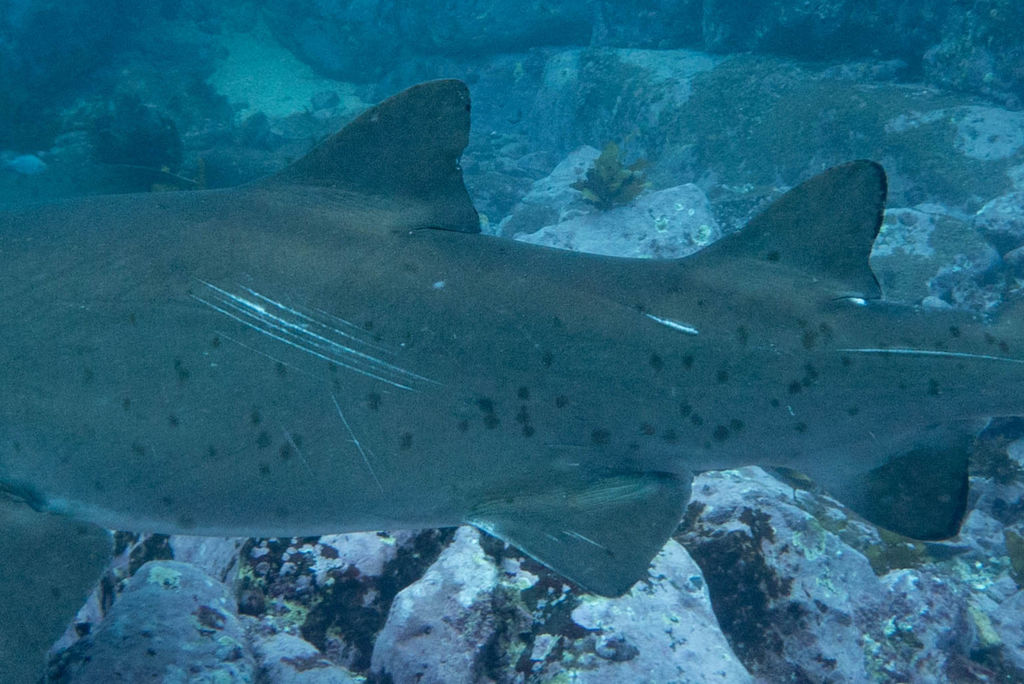 6dd7575e-a57a-4d00-bd97-6939a19645e5