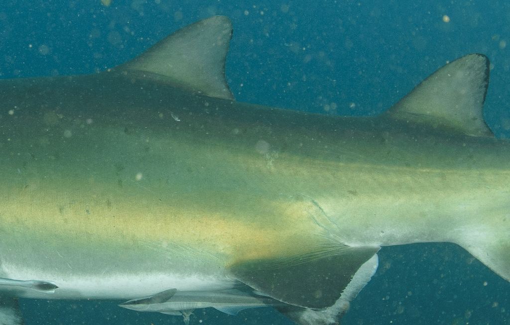 6fc716a3-1daf-481f-b649-a447718c6f3f