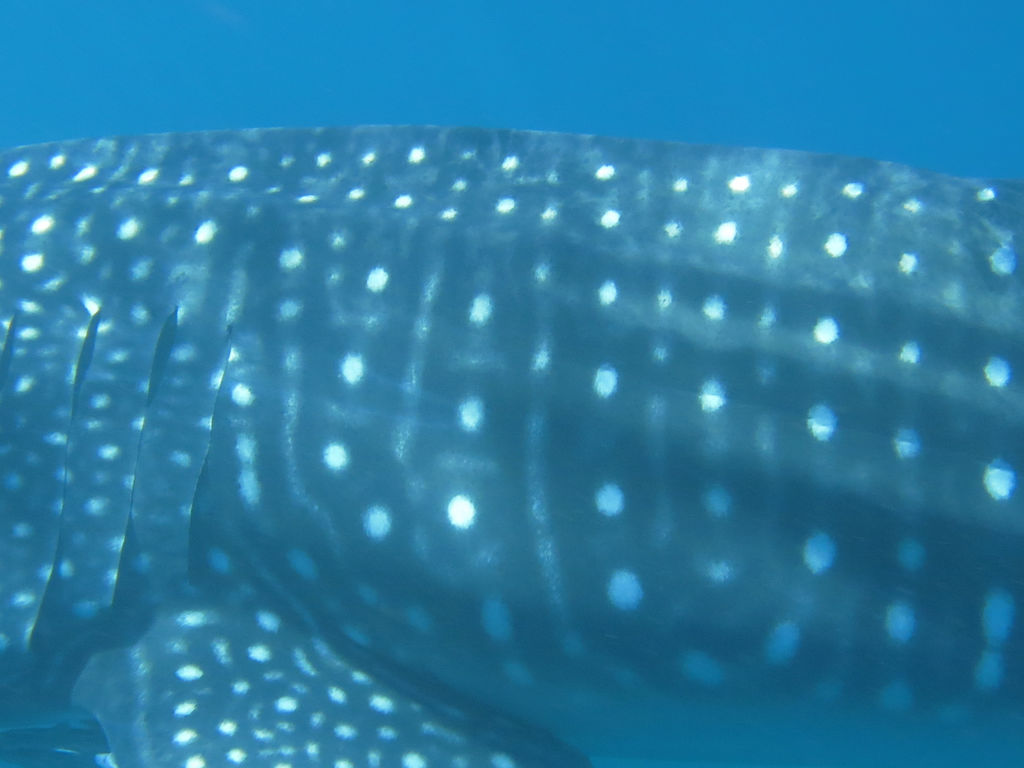 92e2d9f8-2859-4131-bddd-08a83eb2fb9d