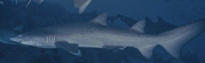 1264e373-e471-4b13-b4d4-08cec43fa69f