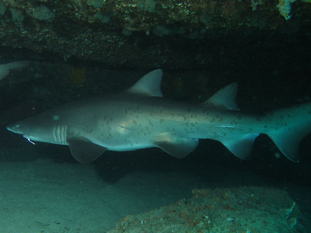 08249fad-c538-464e-ae1b-84a40bf5663f