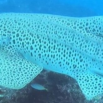 ccb08773-001e-4be7-bd97-a417e4737a33