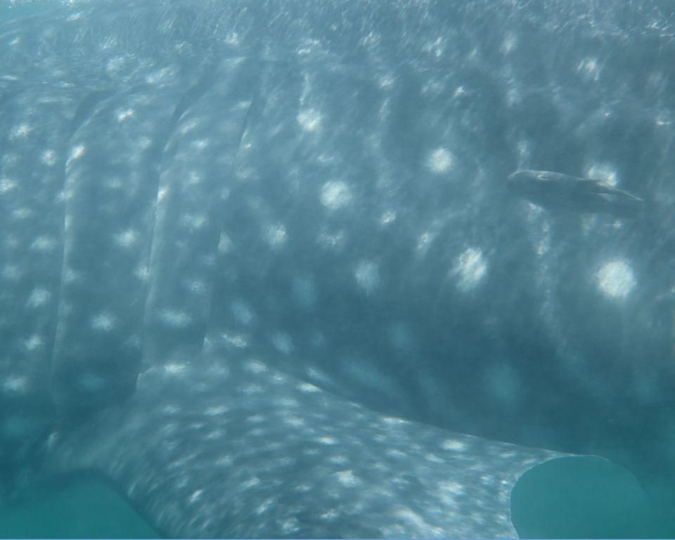 6a990b80-effd-47ce-9e7d-3838a660f4a7