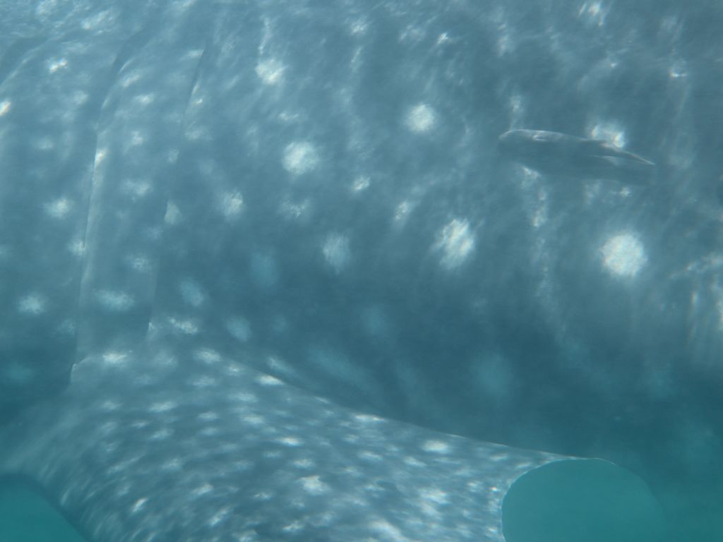 6a990b80-effd-47ce-9e7d-3838a660f4a7