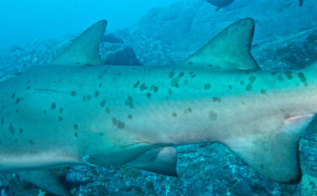 3aa09b96-3c29-417b-a924-ffed1d2b3d20