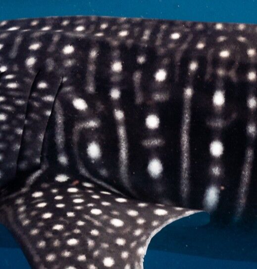 b1ae1066-ff99-425e-ab17-62e7b917c1b4