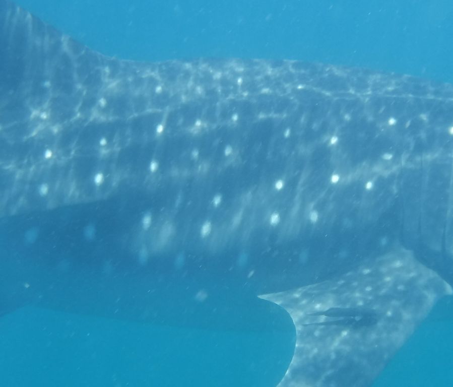 b2d36f71-8bf0-4e6d-89d5-b2f7492599e7