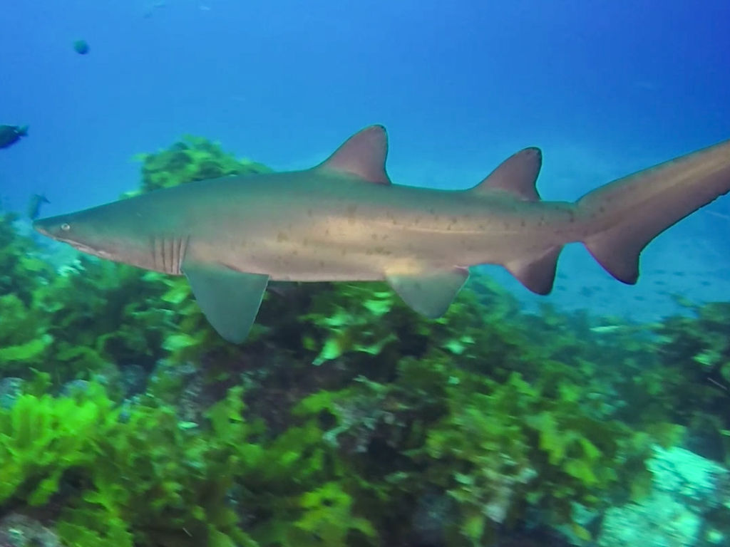 601c72c0-e2ce-4297-8ffa-417ad3bb3045