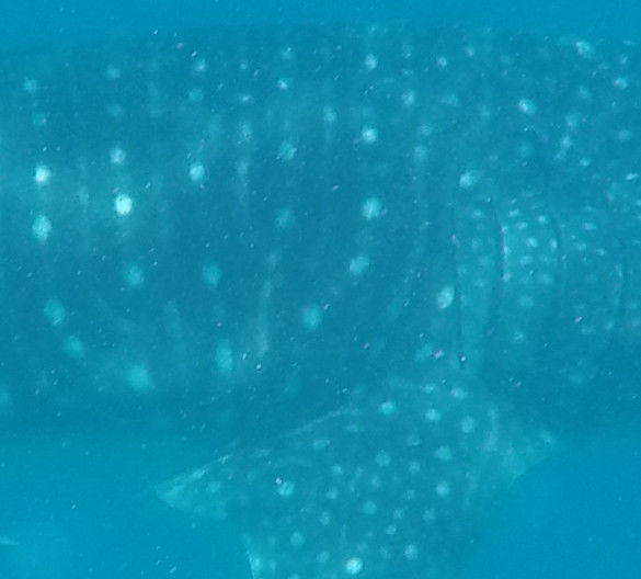 40b9c7d2-edad-48cd-accb-e49b62f7b21e