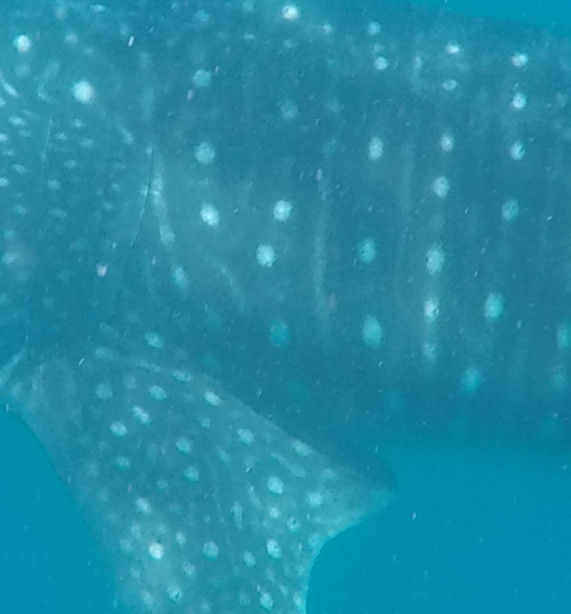 40b9c7d2-edad-48cd-accb-e49b62f7b21e