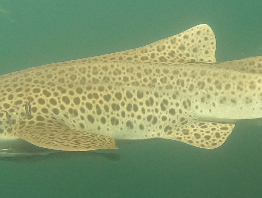 b86a70f1-167d-4770-9c53-54c46d619b00