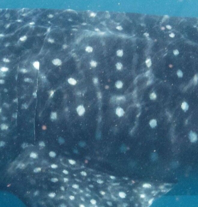 06f3d750-9243-4c33-85d6-e7a390c9c5c2