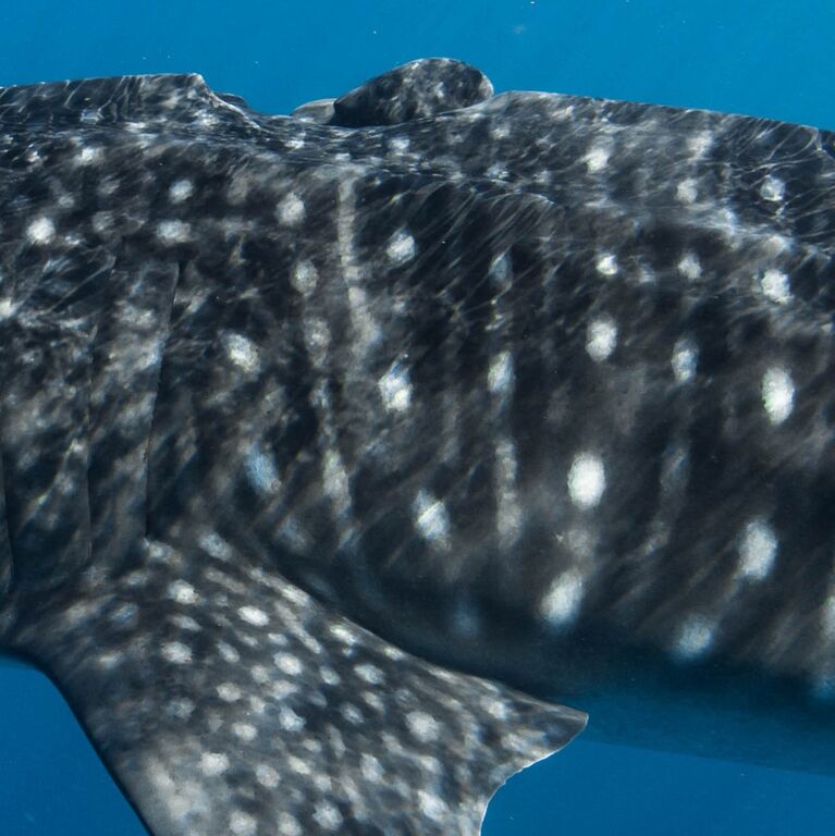 373ba1f3-4cb8-429b-bef4-788937fcdc91