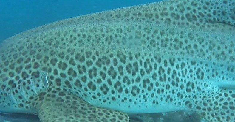 cda41609-d5e5-4d5a-9aa2-d33e225b5cbf