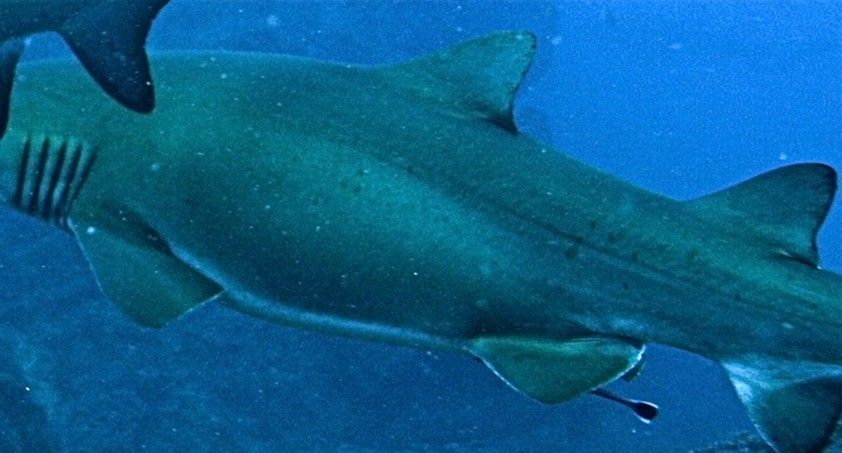 9301702c-a759-40df-aba5-218d9efa4c52