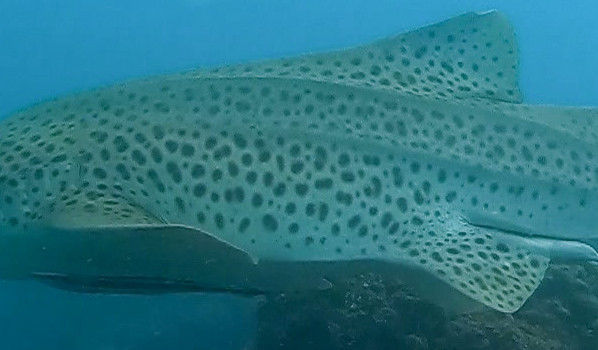 b517fc66-f816-4a68-bf31-bbf3ed0dbc39