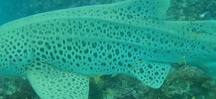 b517fc66-f816-4a68-bf31-bbf3ed0dbc39