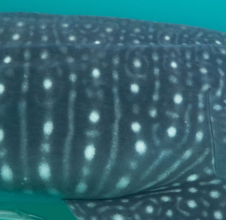 c6e79ed3-24f5-4fb6-8174-2e35315dbdd2