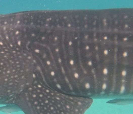 c6e79ed3-24f5-4fb6-8174-2e35315dbdd2