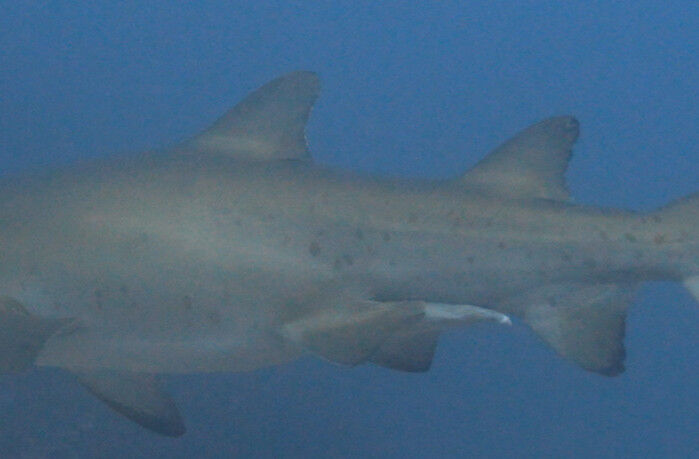 e34ec4b4-721e-4133-b861-aac00e9d2c14