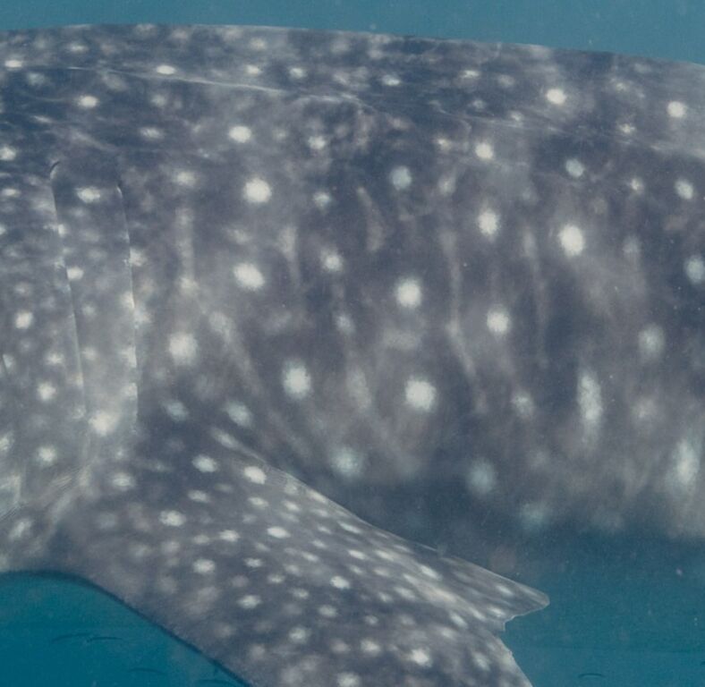 52d0857d-c017-413a-bf0d-be0d3731e90b