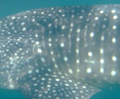 96b13772-1579-4e4d-8664-162a7ab26c52