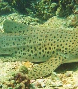 fe4aeac2-89ae-458a-9e30-052c4a5a808c