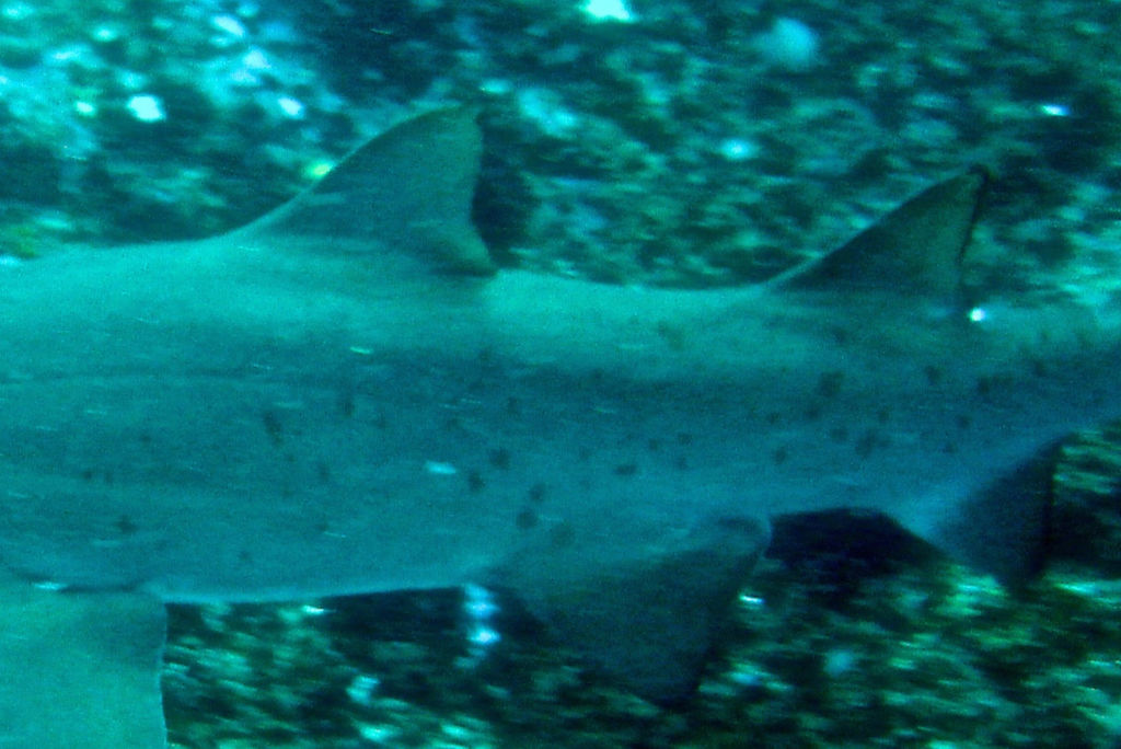 5289f6ae-3db5-4a4a-81c2-2797df46cc68