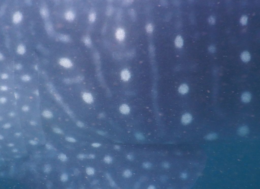 df78bd44-7015-4cf1-93d1-5fa49fceeb0d