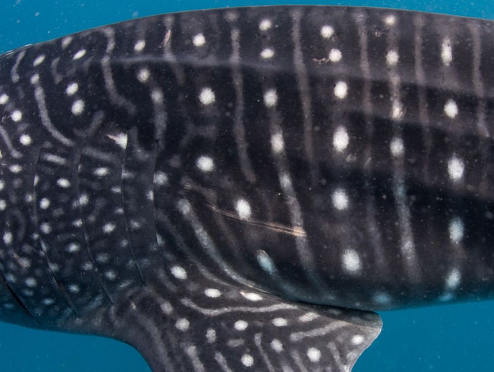 408b8d58-e9cc-48f3-beed-703608d72280