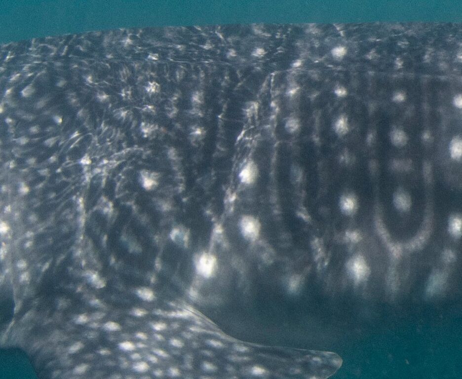 e8710aa2-28ce-463b-8881-fd578c88637c