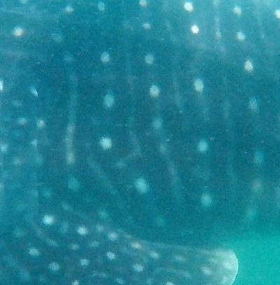 c7f7db3c-38ef-4f4d-965f-0dfcde4380e8