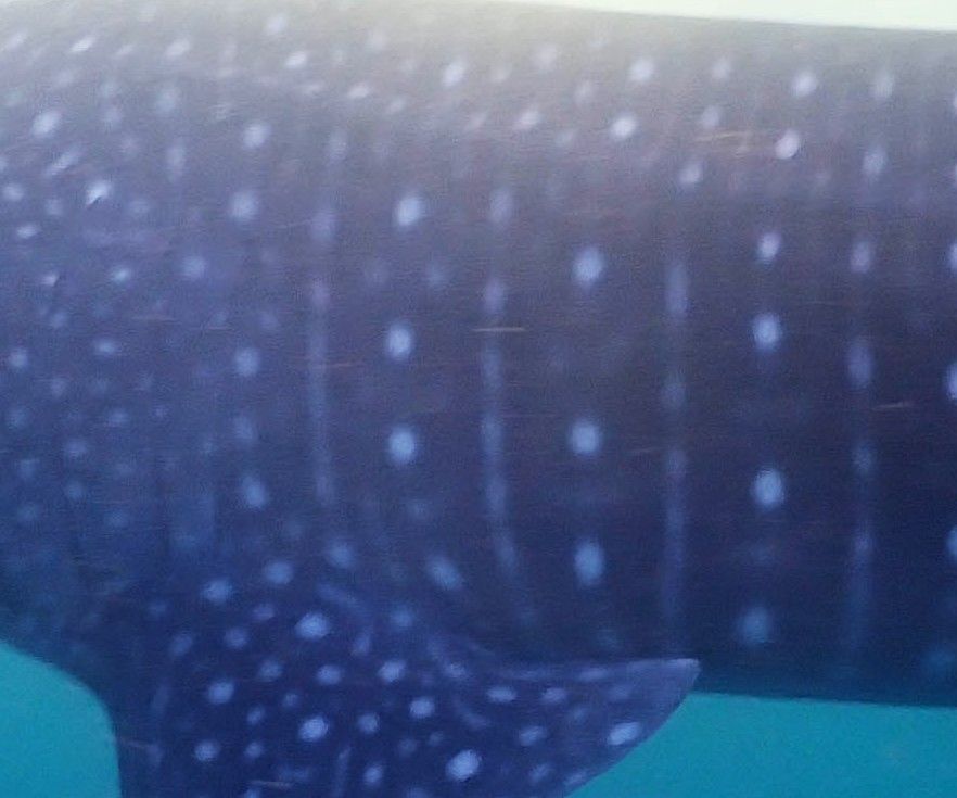 b31870c6-bb31-4dca-8763-85ab28aef210