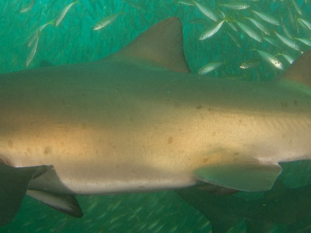 ea0b4679-4084-4b3f-a9cb-06d9c3ea5796